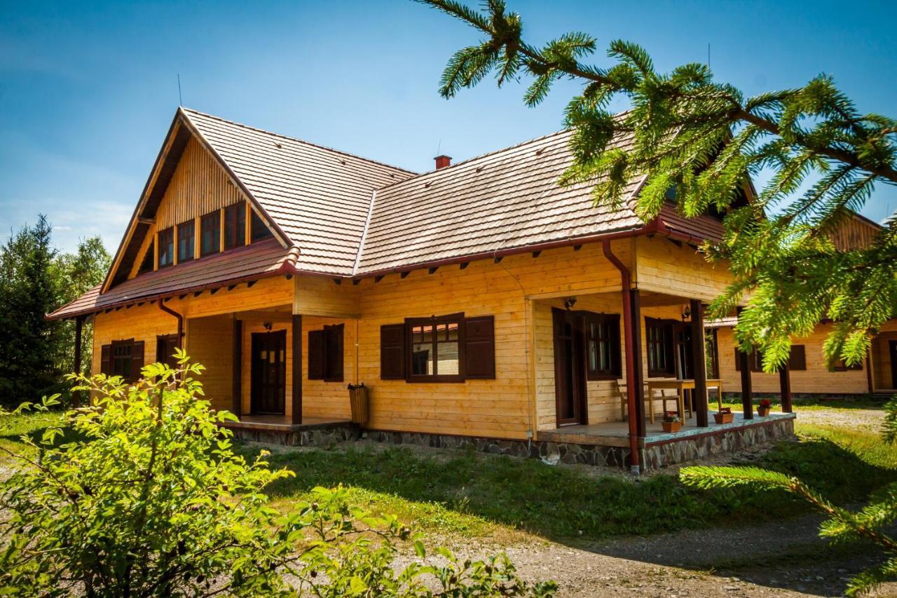 Pensiunea Sapte Flori Gheorgheni  Εξωτερικό φωτογραφία